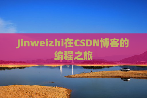 Jinweizhi在CSDN博客的编程之旅